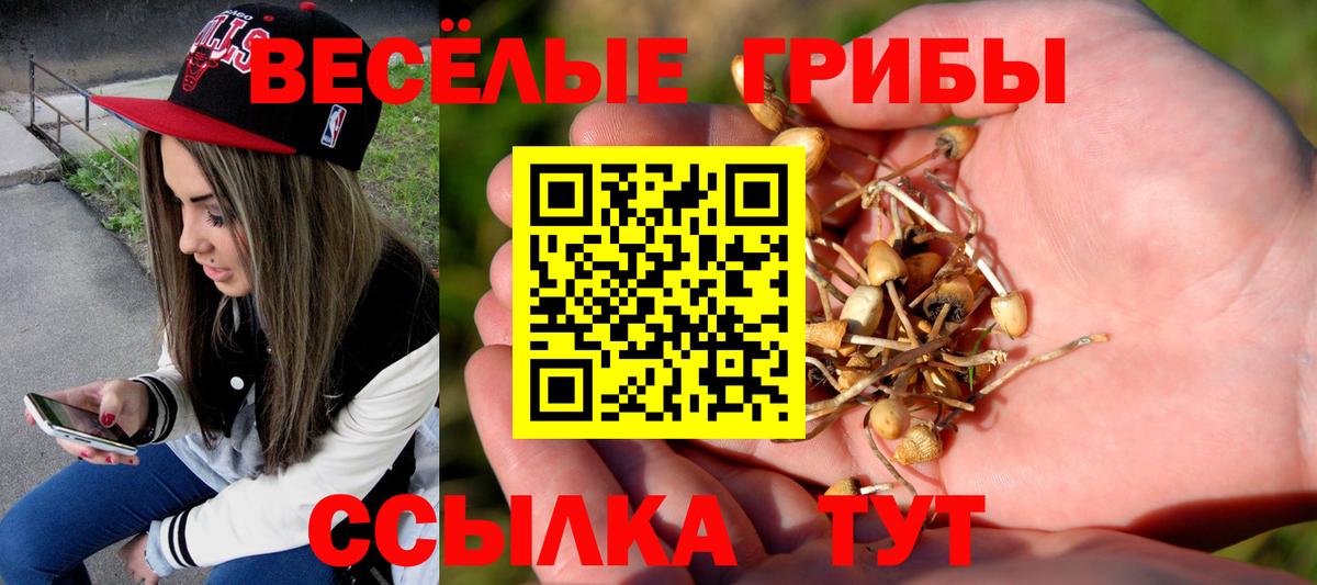 Псилоцибиновые грибы прущие грибы  Вход с VPN  купить  цена  Губкинский 
