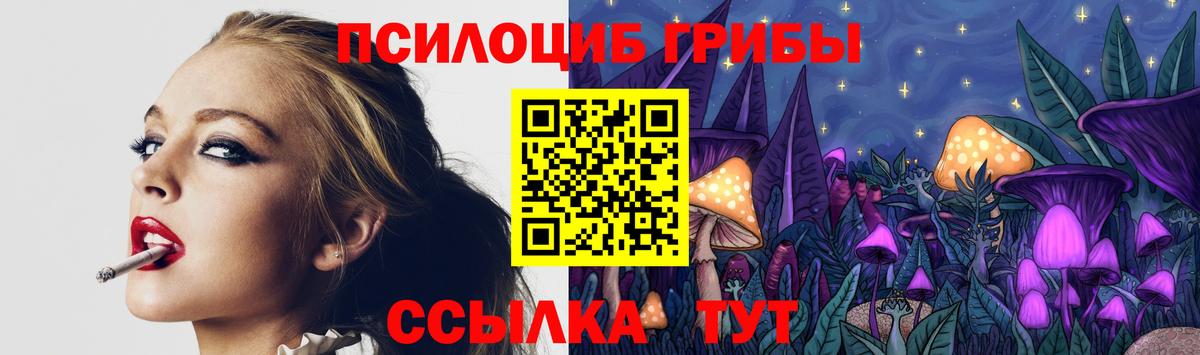 Псилоцибиновые грибы GOLDEN TEACHER Губкинский