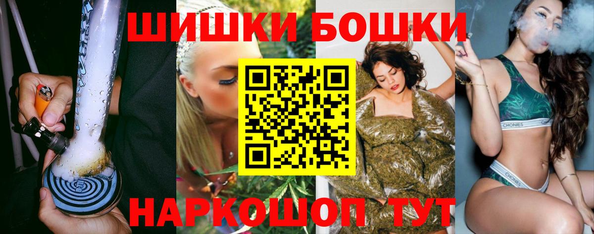 Конопля планчик Губкинский